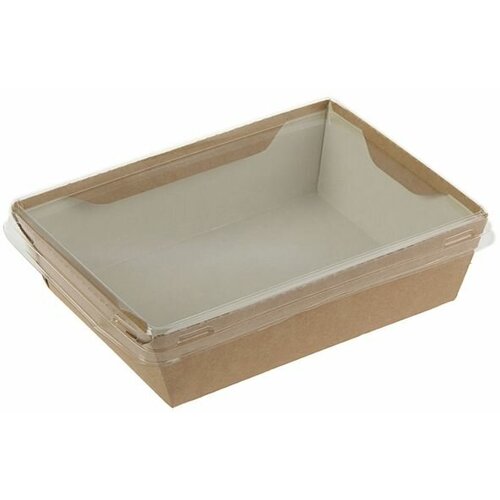 Упаковка салатник с прозрачной крышкой 165 х 12 х 45 см 04 л20 шт 836₽