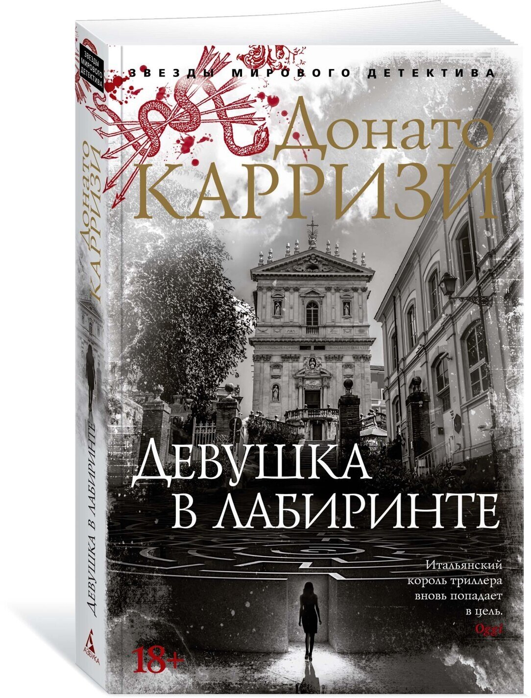 Книга Девушка в лабиринте