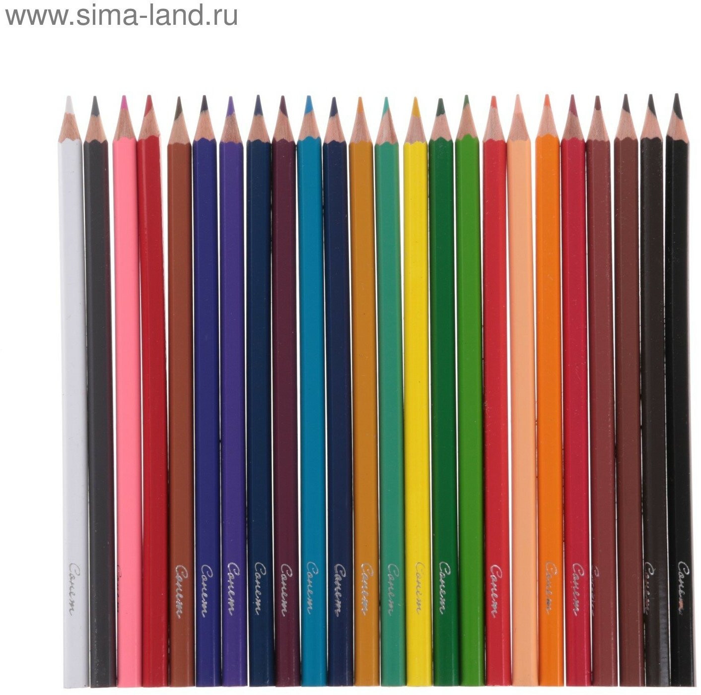 Набор цветных карандашей Сонет - фото №6
