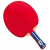 Ракетка для настольного тенниса Gewo Standard Pro, CV / FL - изображение