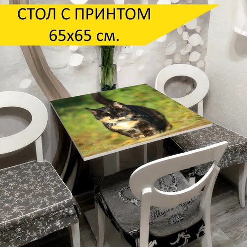 Стол 