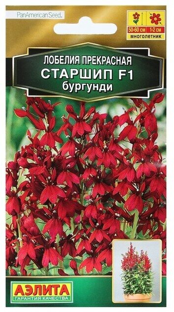 Семена Цветов Лобелия "Старшип", F1, бургунди, пробирка, 5 шт