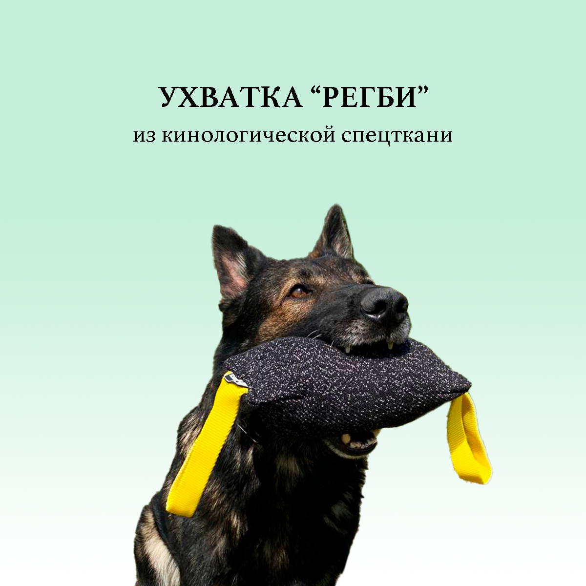Грызак Регби BITEFORCE для собак, 13 на 25см, черный