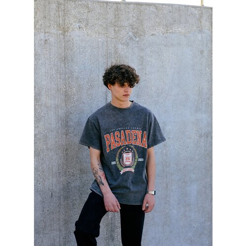 фото Футболка мужская dubs оверсайз, серая, с принтом