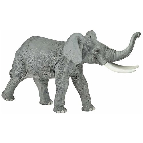 Купить Саванный слон 19 см Loxodonta africana фигурка игрушка дикого животного, Papo