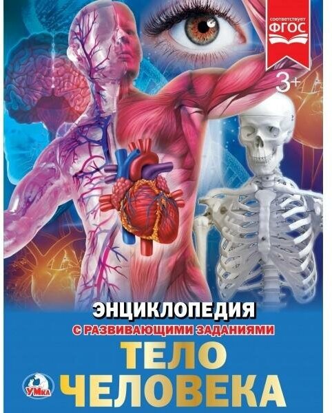 Тело человека. Энциклопедия. Энциклопедия