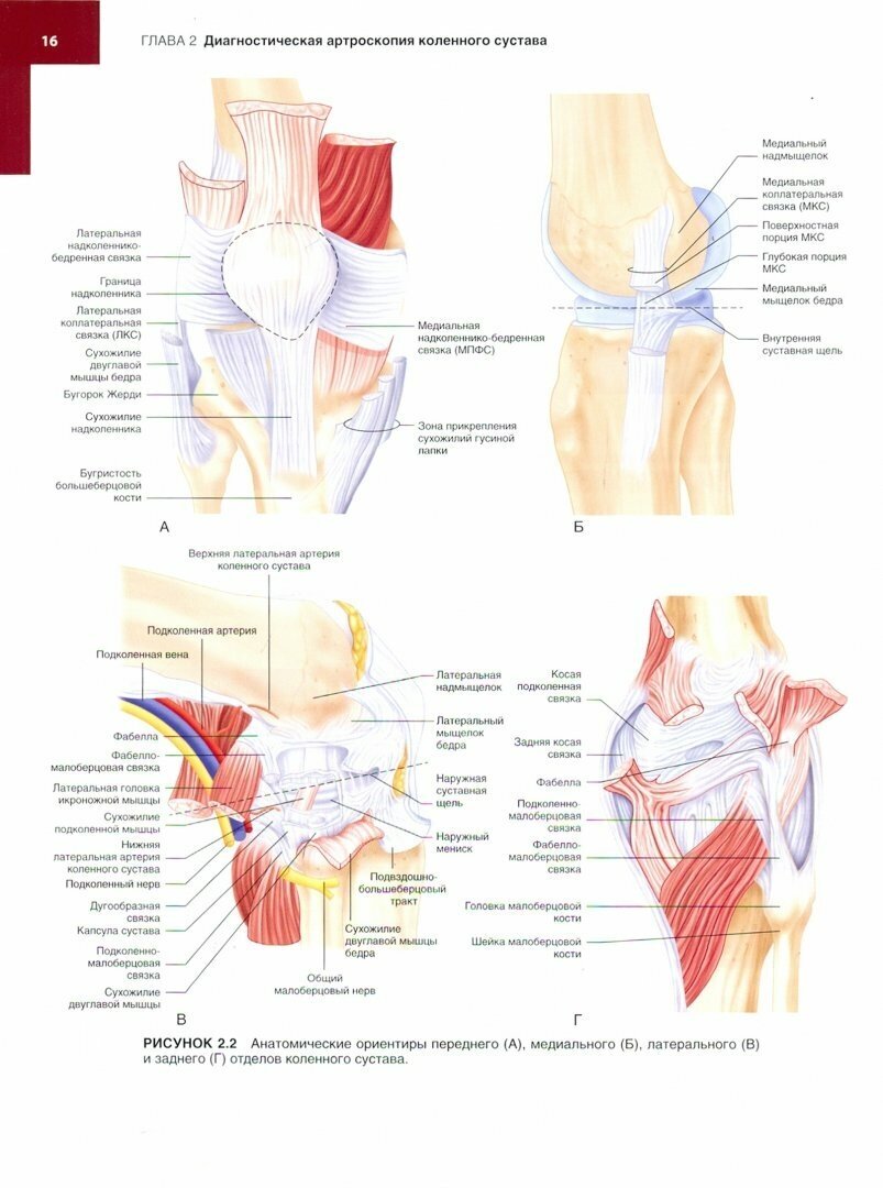 Хирургия колена. Оперативная техника - фото №6
