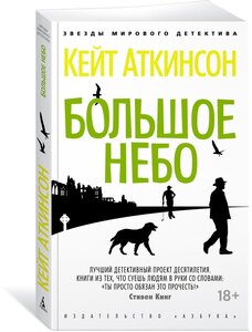 Книга Большое небо