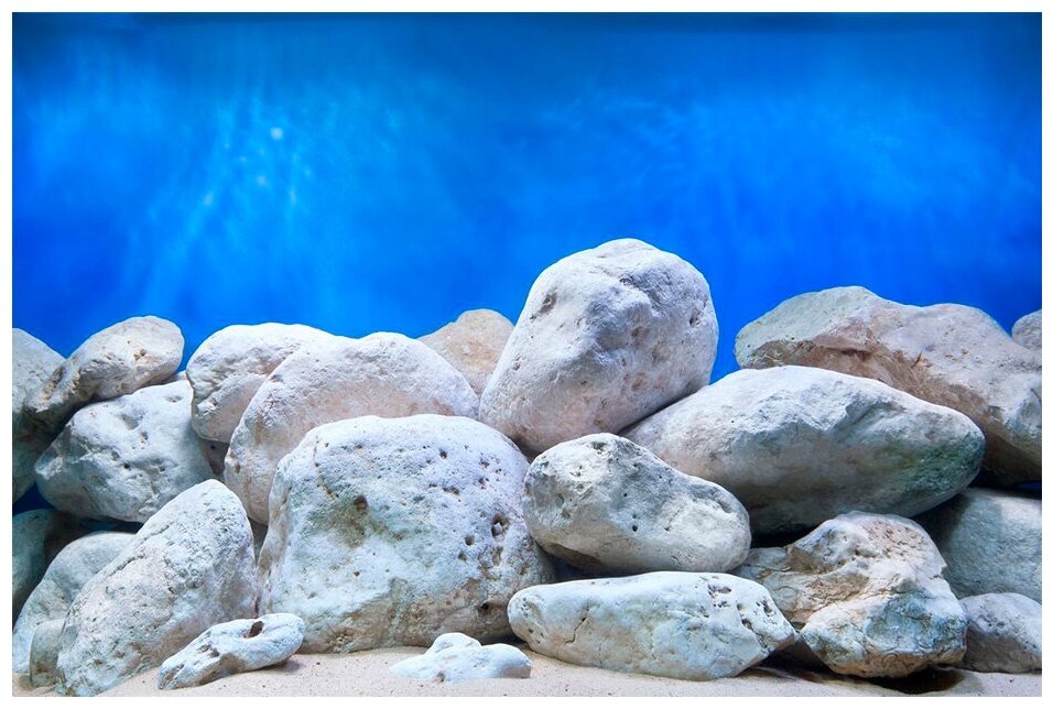 Фон для аквариума двухсторонний 60*124см Водный сад/Яркие камни - фотография № 3