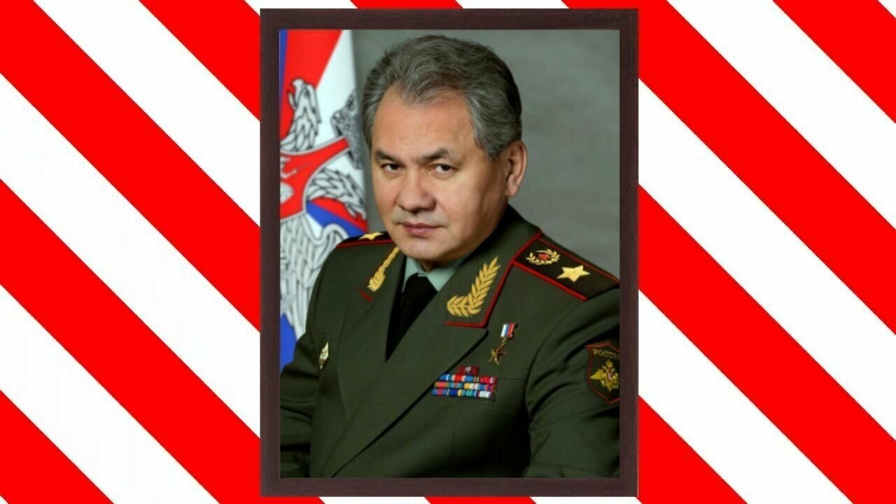 Портрет министра обороны России Сергея Шойгу, на холсте 21х30 см. в раме