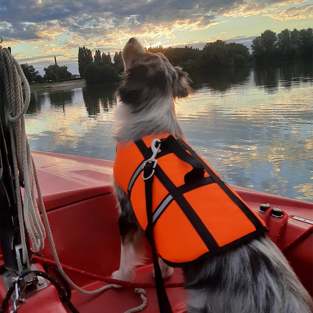 Nobby Жилет для собак плавательный DOG BUOYANCY AID 25см оранжевый - фото №2