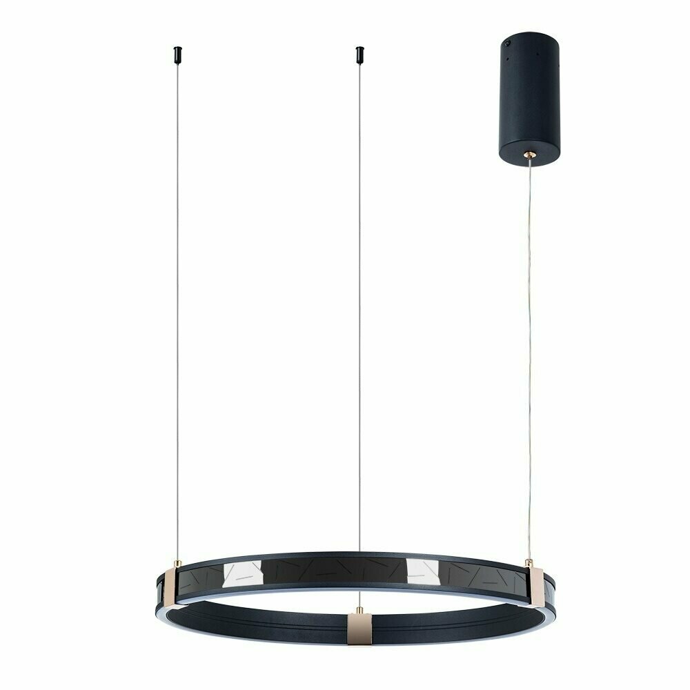 Подвесной светильник с пультом ДУ Arte Lamp Shine A2222SP-1BK - фото №1