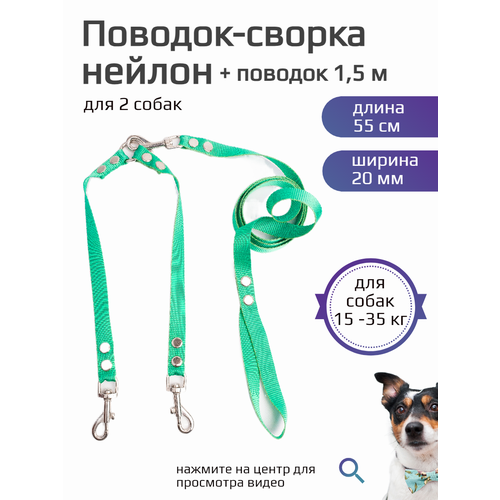 Поводок 1,5 м + сворка для двух собак средних пород нейлон 55 см х 20 мм (бирюзовый)