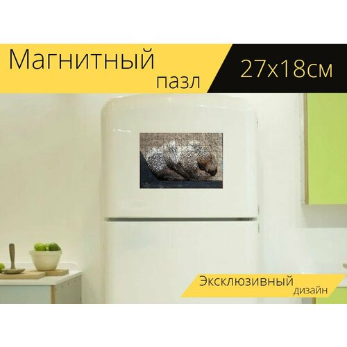 Магнитный пазл Животные, дикобраз на холодильник 27 x 18 см. магнитный пазл животные поросята нпд на холодильник 27 x 18 см