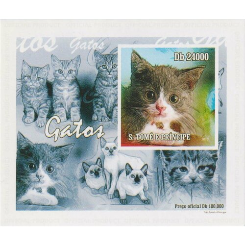 Почтовые марки Сан-Томе и Принсипи 2010г. Котята Кошки MNH