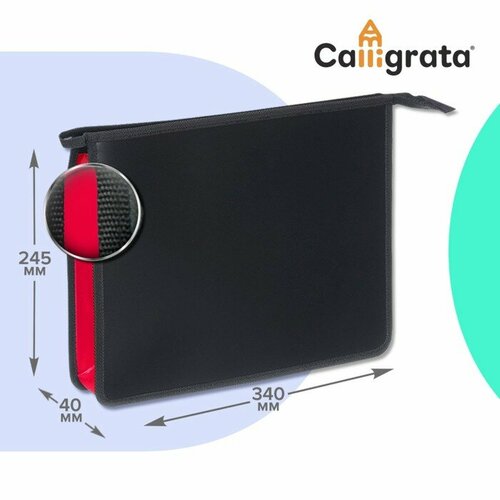 Папка для тетрадей А4, 40 х 245 х 340 мм, молния сверху, пластиковая, Calligrata, фуксия