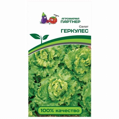 Салат листовой 