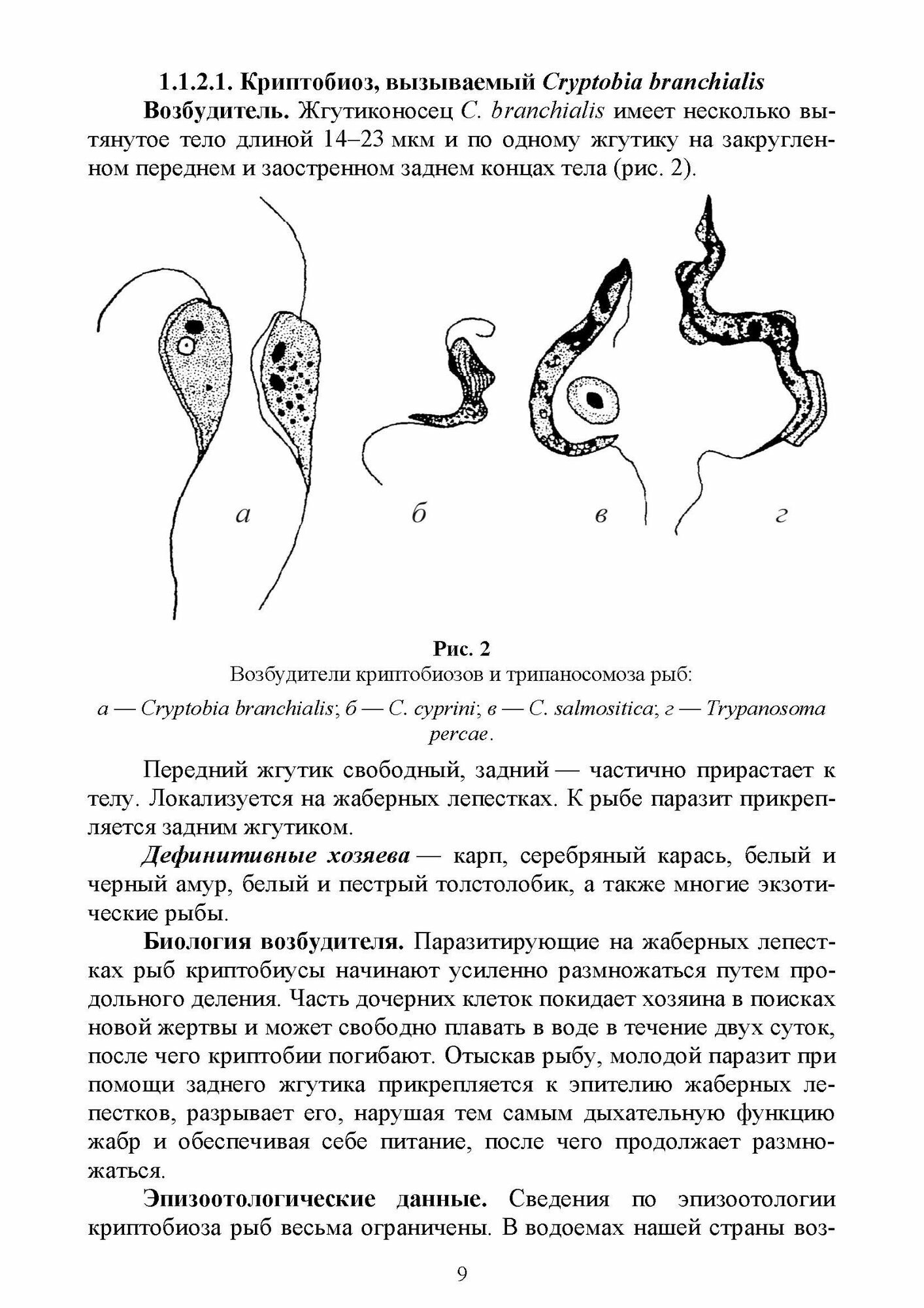 Паразитарные болезни рыб.Уч.пос - фото №5