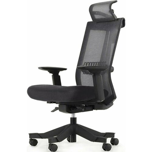 Компьютерное эргономичное кресло с поясничной поддержкой Healthy Chair S6 BK