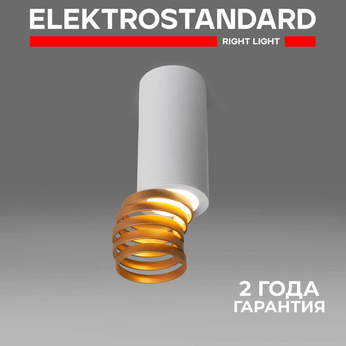 фото Спот Elektrostandard DLN102