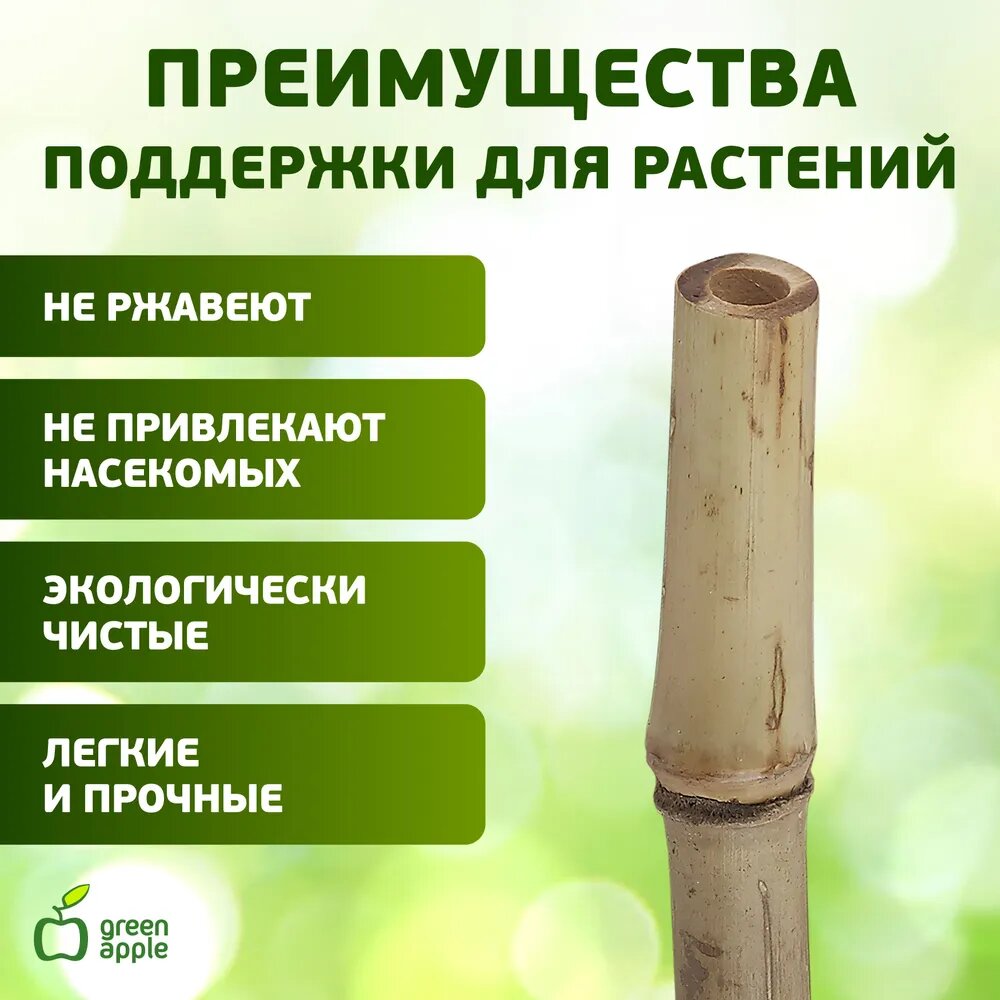 Опора для растений и цветов GREEN APPLE бамбуковая GBS-10-120 поддержка 120 см х 10 мм 5 шт — фото 1