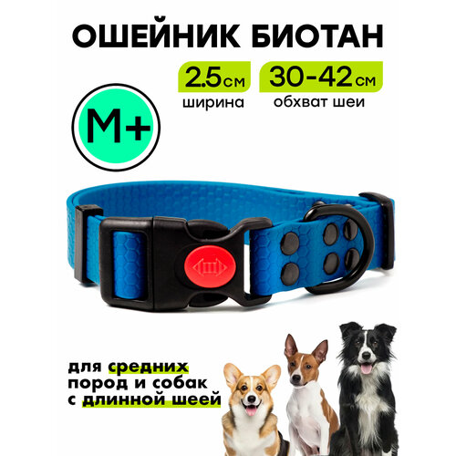 Ошейник из биотана 30-42 см (M+), 25 мм, Woofy "Iron" водостойкий, для небольших и средних собак, синий