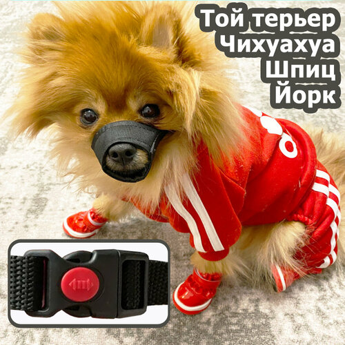 Намордник, для собак, чёрный, XXS, водостойкий, регулируемый, для мелких пород