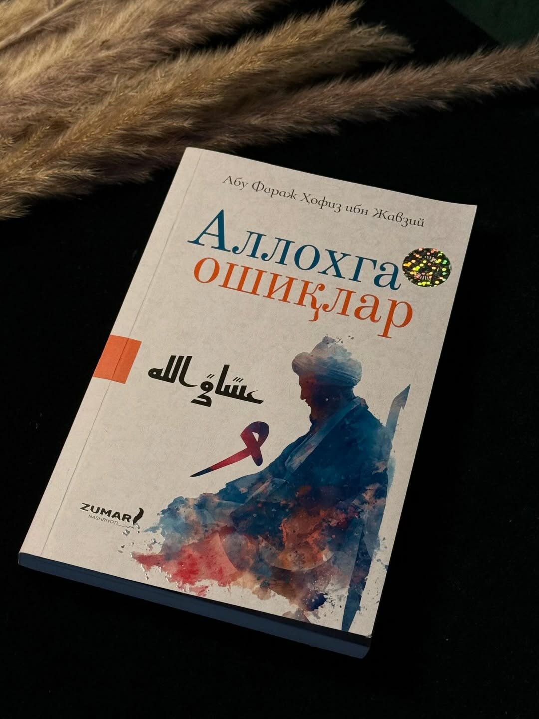 Аллоҳга ошилар, Хафиз ибн Джаузи — фото 1