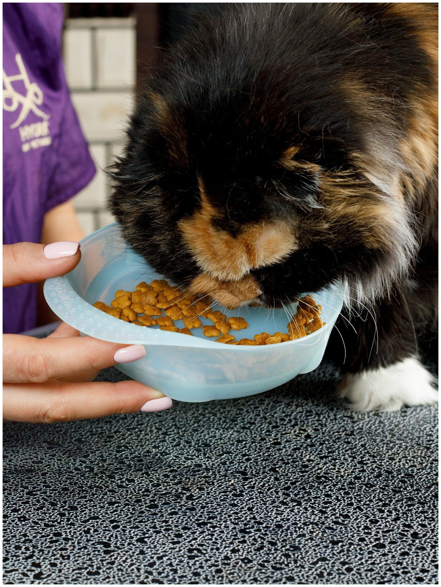Лакомство Japan Premium Pet PRESENT для пожилых кошек (15+), с содержанием олигосахаридов для поддержания здорового пищеварения, 240 г - фотография № 7