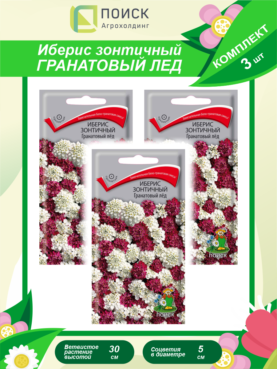 Комплект семян Иберис зонтичный Гранатовый лёд однолет. х 3 шт.