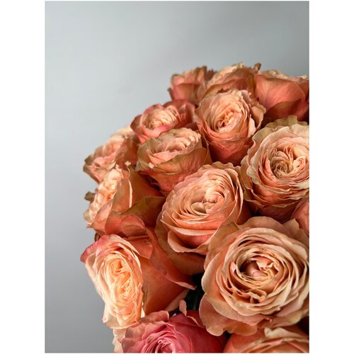 Букет Роза кремово-коричневая пионовидная Кахала 7 шт 60 см