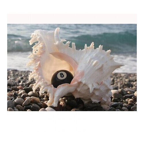 Постер AFG Profi 05072 70?50см