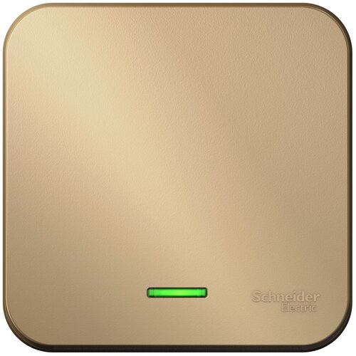 Выключатель Systeme Electric BLNVA101114 Blanca, 10 А золотистый, серый, титан