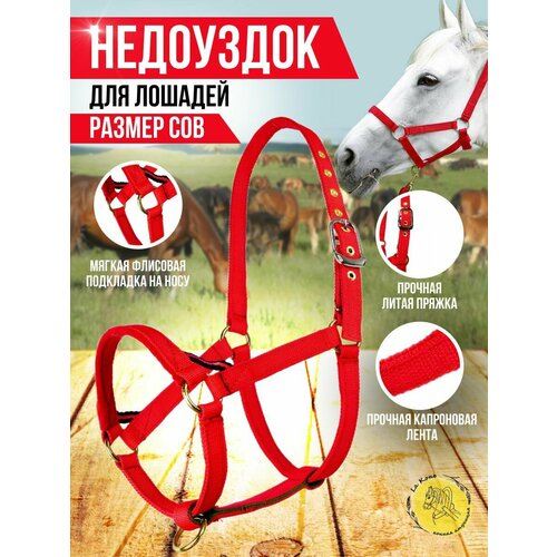 Недоуздок капроновый для жеребят, размер Cob