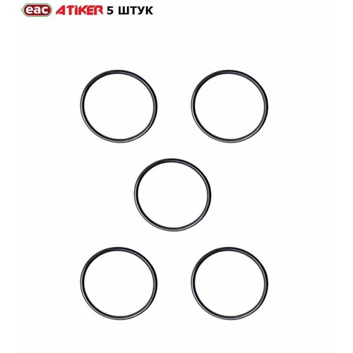 Кольцо газового клапана ГБО ATIKER 1306, 1308 (5 штук)