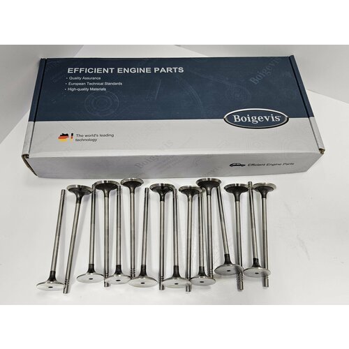 Комплект клапанов впуск/выпуск cwva Boigevis