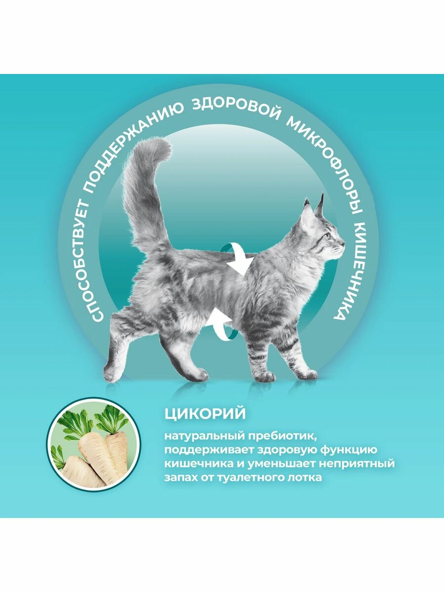 Сухой корм Purina ONE для стерилизованных кошек с лососем, 3 кг - фотография № 6