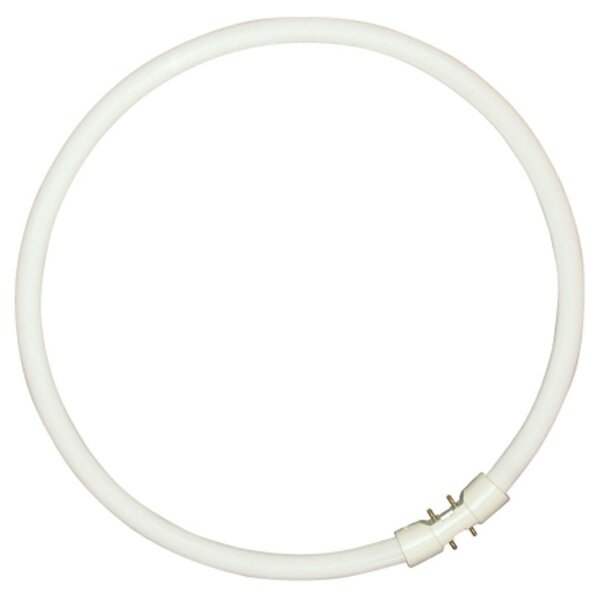 Изображение Лампа кольцевая люминесцентная 55W 2GX13 305mm