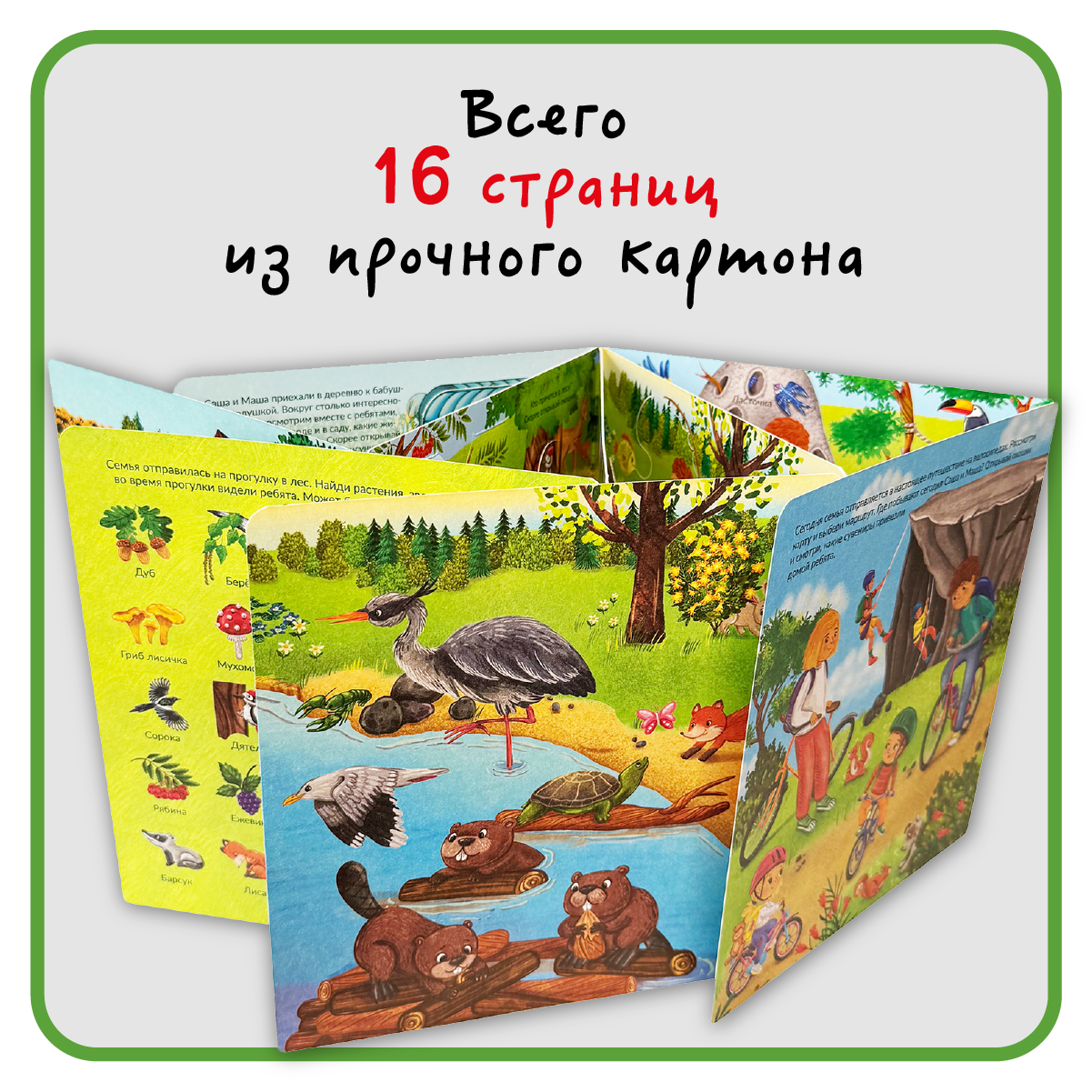 Я еду за город. Виммельбух с окошками - фото №3