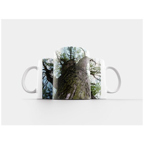 фото Кружка "вуд, кора, филиалы" 320 мл lotsprints