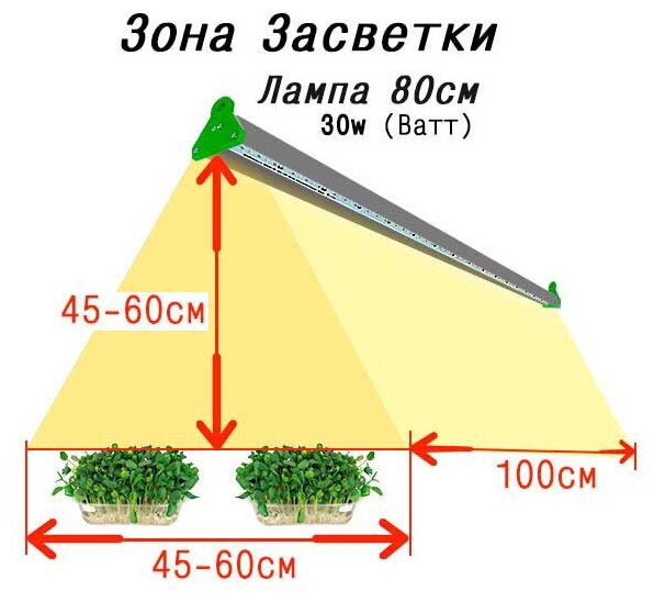 Фитолампа для цветущих и плодоносящих растений MiniFermer Цветонос Samsung 3000К+660nm / Лед фитосветильник для клубники, томатов, огурцов, 40Вт 80см - фотография № 7