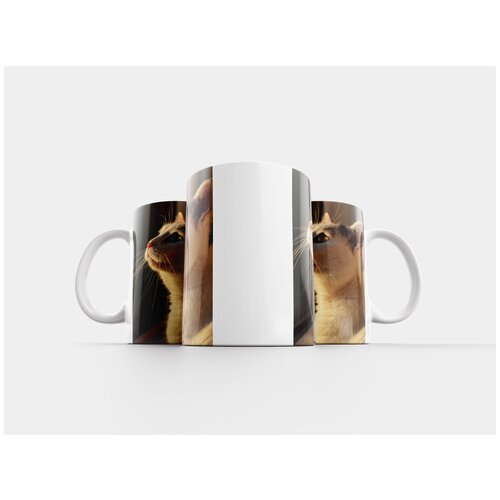 фото Кружка "кот, белый, животное" 320 мл lotsprints