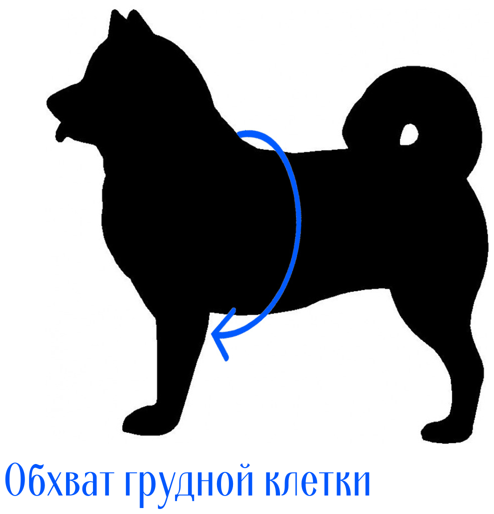 Шлейка жилет для собак регулируемая светоотражающая, размер S (44-59 см обхват груди) - фотография № 3