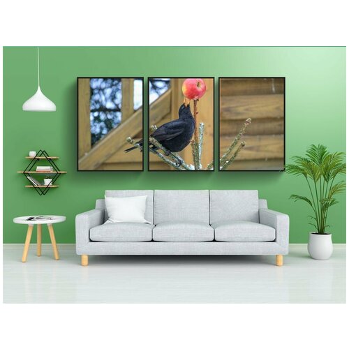 фото Набор модулных постеров для интерьера "птица, черный дрозд, ель" 60x90 см. в тубусе, без рамки lotsprints