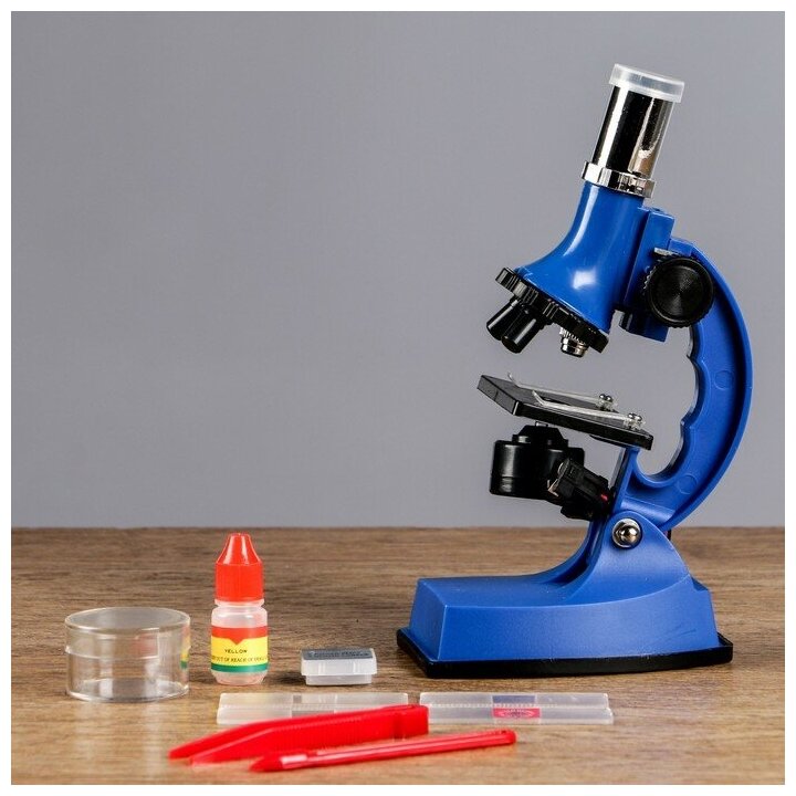 Микроскоп, кратность увеличения 600х, 300х, 100х, с подсветкой, 2АА, синий 454011