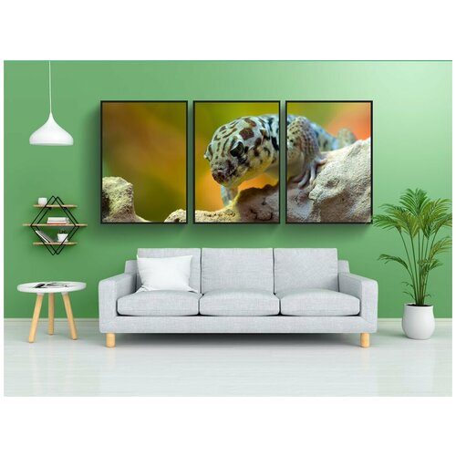 фото Набор модулных постеров для интерьера "чудо-геккон, геккон, животное" 60x90 см. в тубусе, без рамки lotsprints