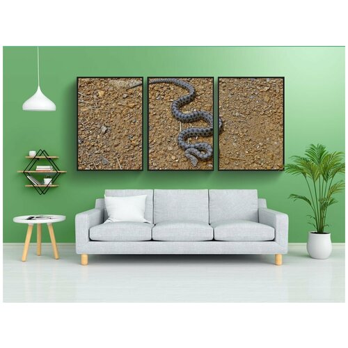фото Набор модулных постеров для интерьера "змея, мозаичный, отслеживать" 60x90 см. в тубусе, без рамки lotsprints