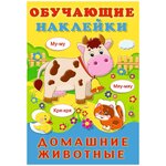 Домашние животные - изображение