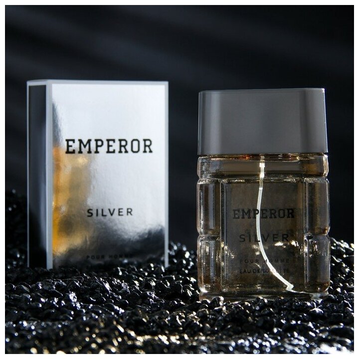 TODAY PARFUM Туалетная вода мужская Emperor Siver, 100 мл (по мотивам Egoiste Platinum (Chanel)