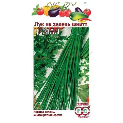 Семена Гавриш Лук шнитт на зелень Чемал 0,5 г лук шнитт чемал 0 5г мн гавриш 10 ед товара